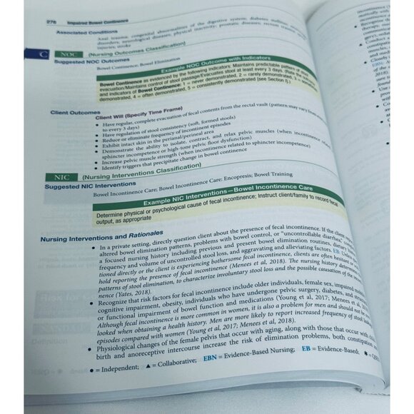Ackley and Ladwigs Nursing Diagnosis Handbook: An Evidence-Based Guide Textbook - Picture 11 of 14